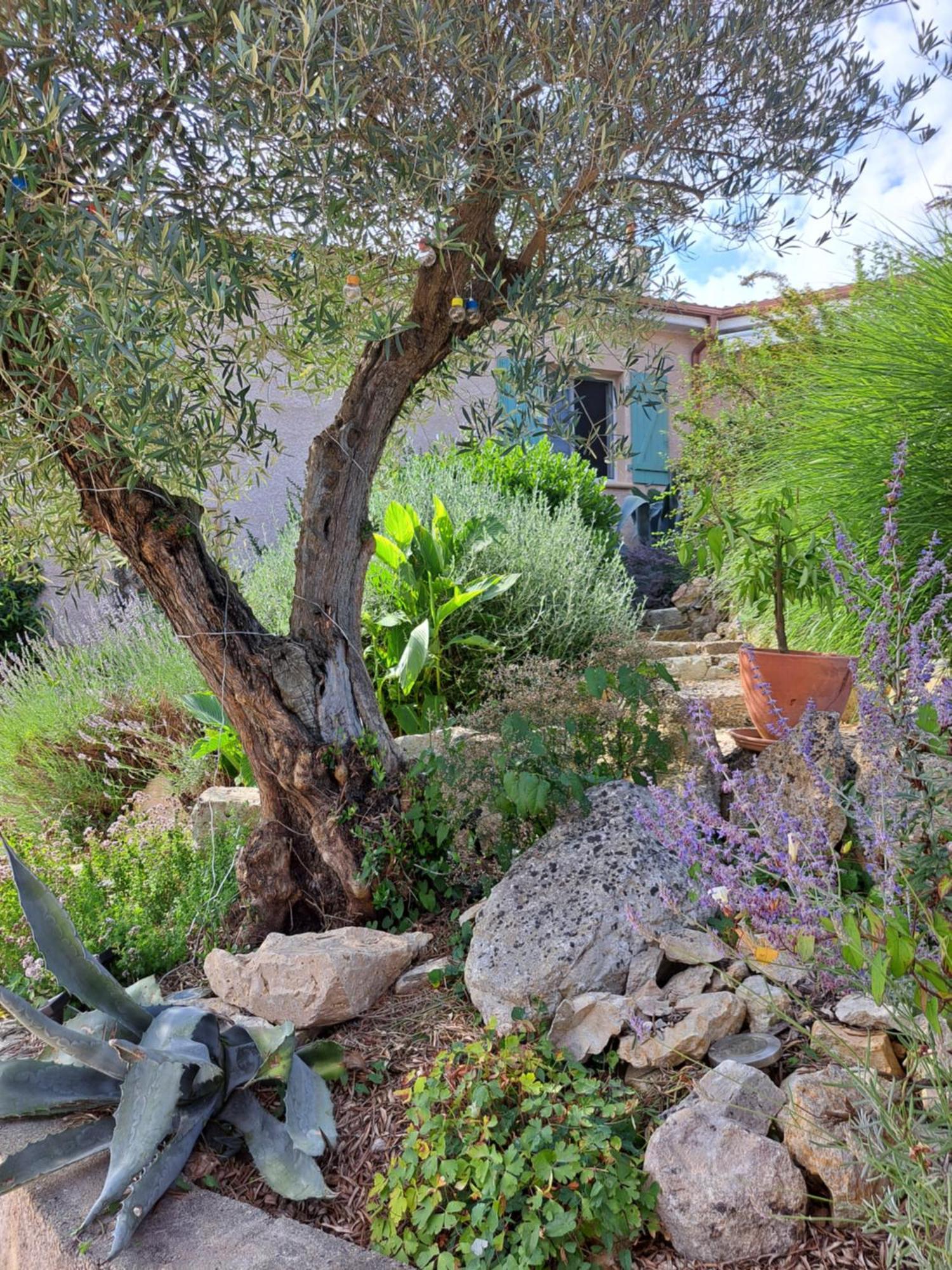 Homestay La Tropezienne