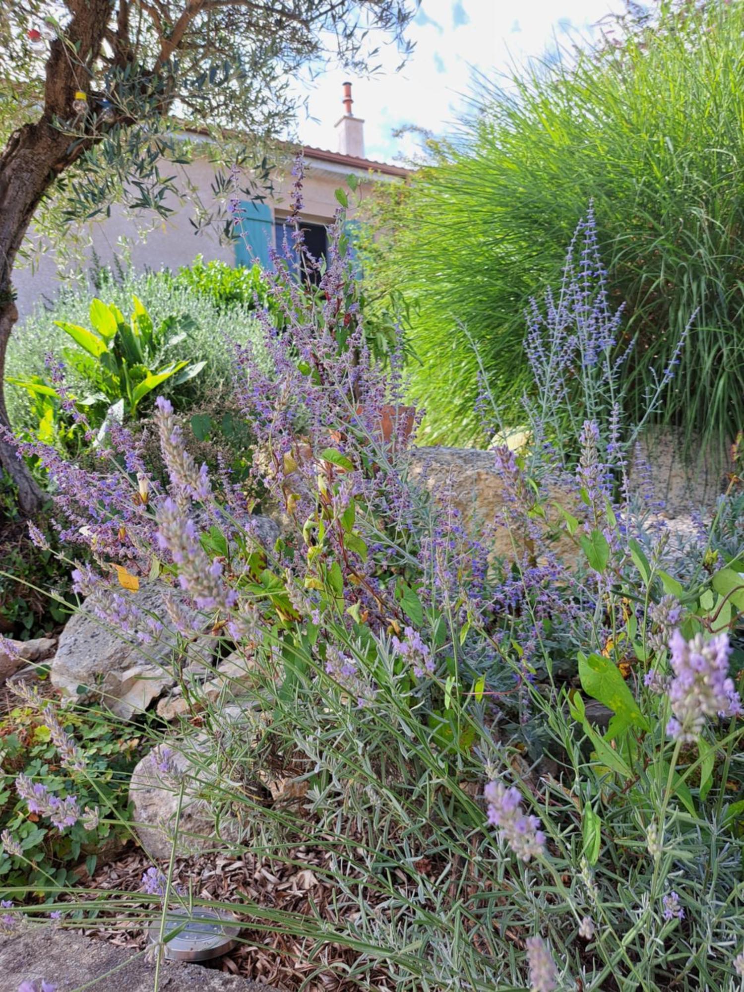 La Tropezienne *